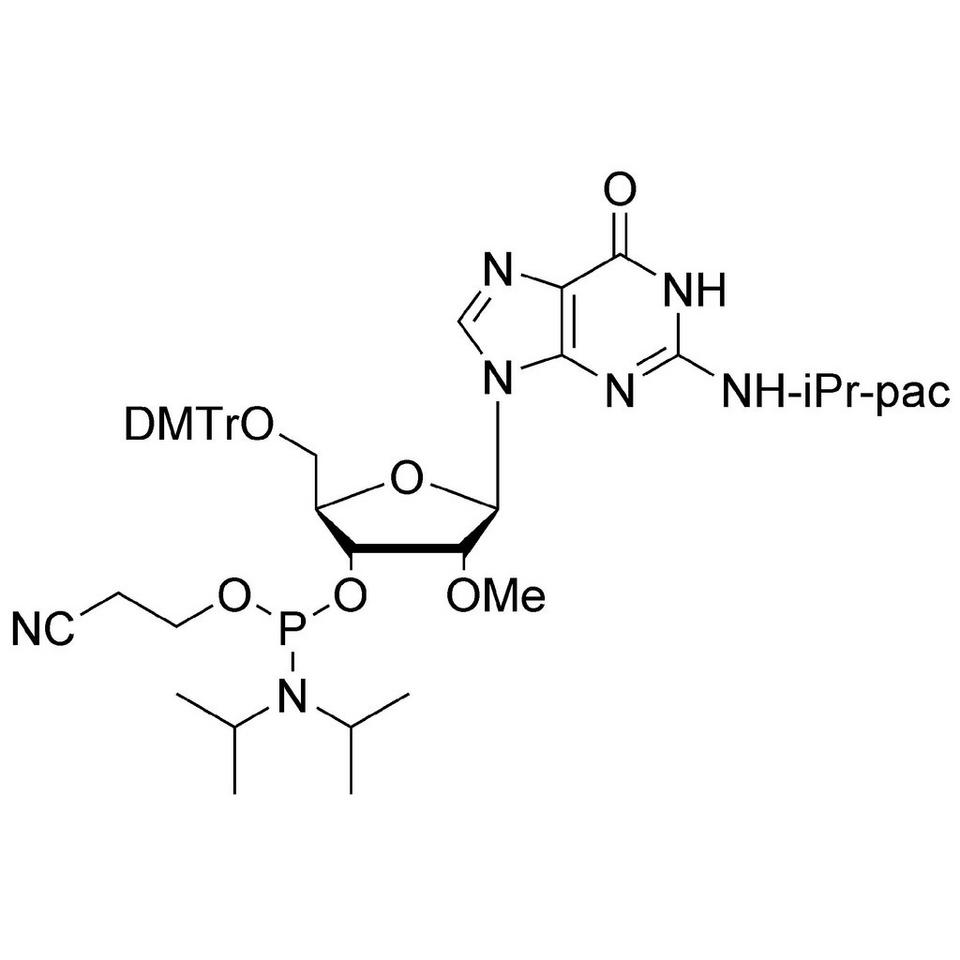 2'-OMe-G (iPr-Pac) CE-Phosphoramidite